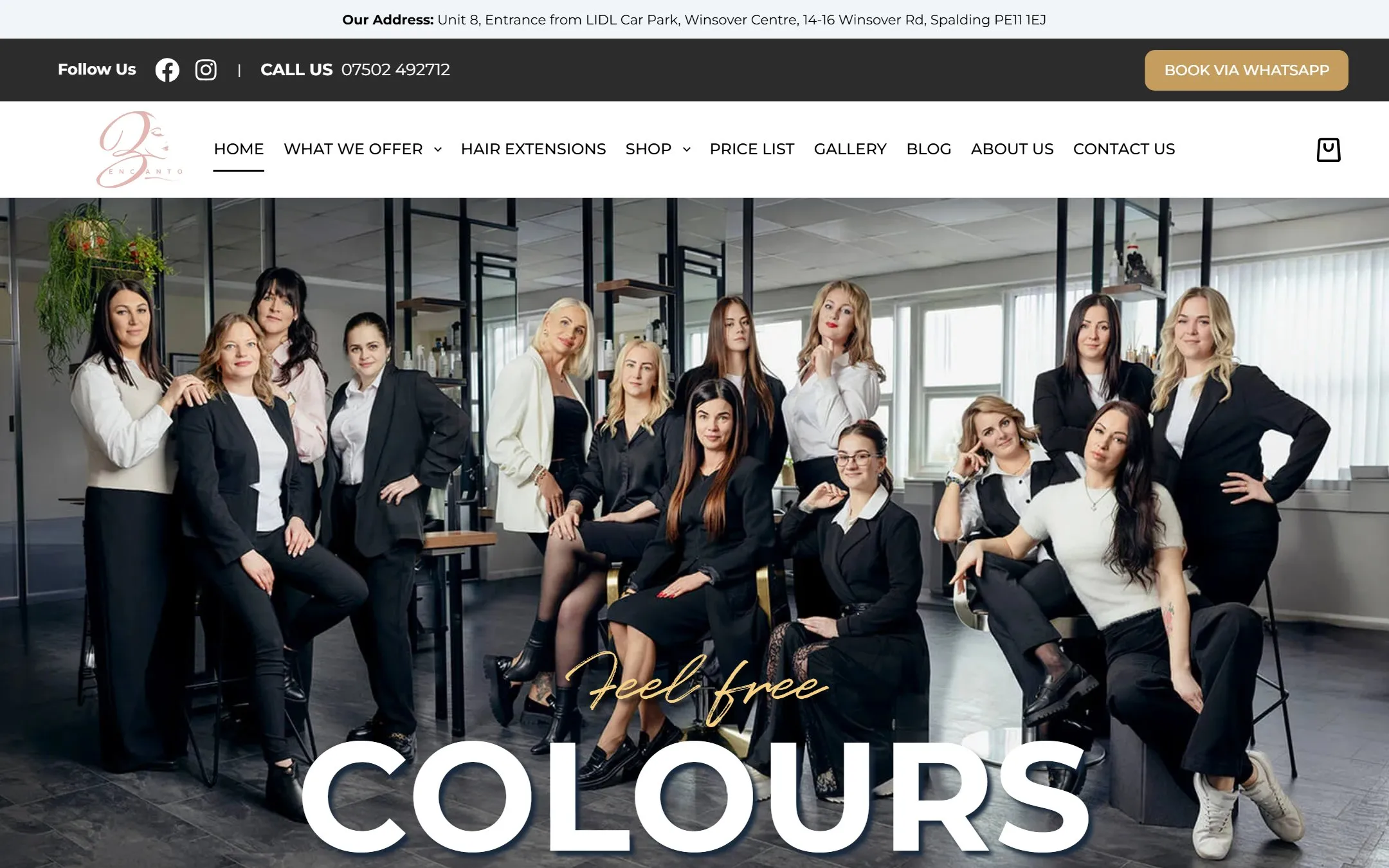 Encanto Beauty and Hair Salon website designed by AP Web Studio